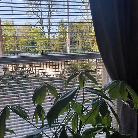 River View Apartment Suite Cork Bagian luar foto