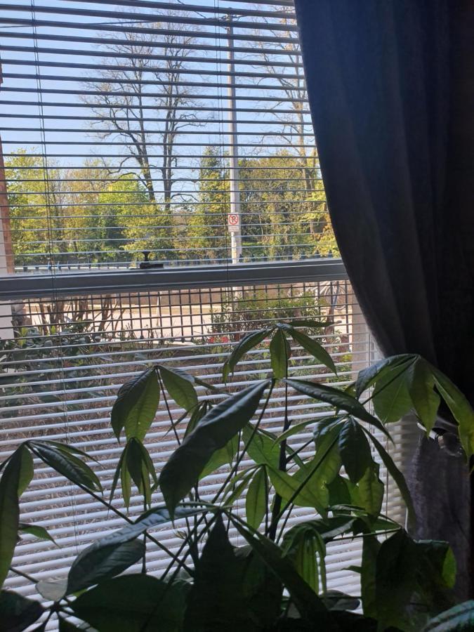 River View Apartment Suite Cork Bagian luar foto